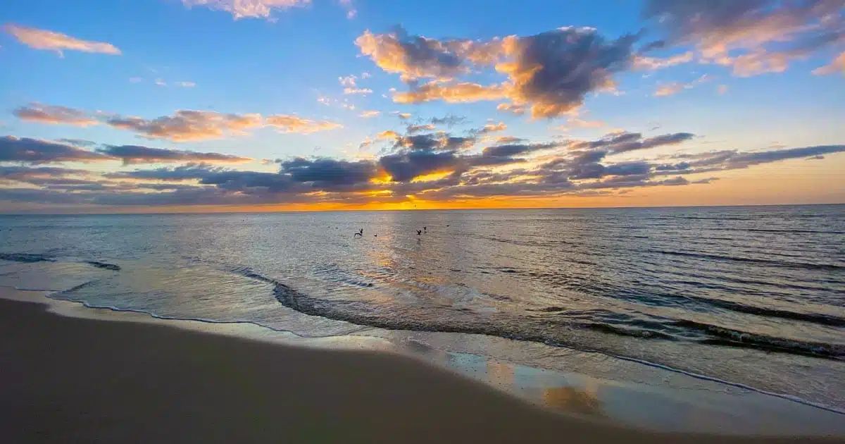 CapeMay AbbeyDufoe og.jpg